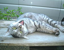 ふにゃぁ〜、気持ちいい〜