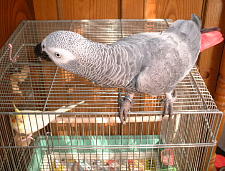 もみちん、お怒り中