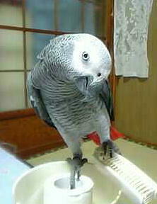 結構かわいく撮れました