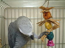 下段右端の編み編みおもちゃは、みるさんお手製