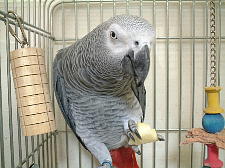 この食感がええんよね〜