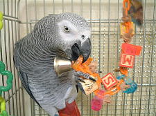 こんなん、ちょろいもんや