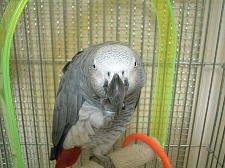 物憂げ〜なポーズ?