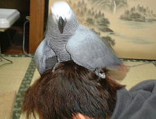 ぷすぅ〜ぷすぅ〜