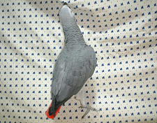 足が!足が届けへんやん〜。