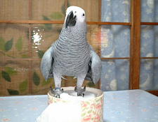 ちょっと「ぷすぅ〜」状態