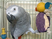 新品の時は・・・