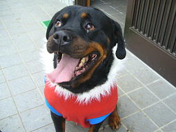 この笑顔が最高〜!