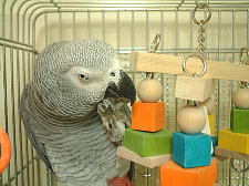 なんかちょっと怖いかも〜