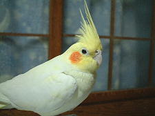 むちむちぷりぷり