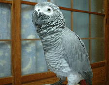 来年もよろちくね