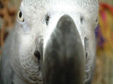 �����͂��Q�V���܂���