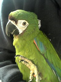 この優しい表情がむっちゃかわいい♪