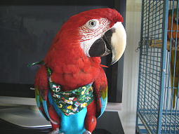 ���E���̂��̊p�x����B�����ʐ^���D��