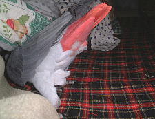 �J�b�J�b�J�b