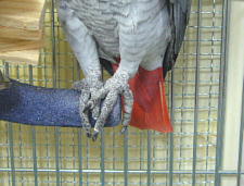 よくそんなところで止まっていられるねぇ