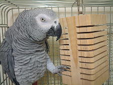 �Ђィ�������`�I