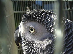 �H����������