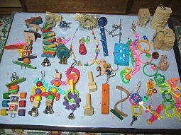 ���Ȃ茸��܂���