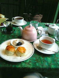 �ǂɂ͐̂̃|�X�^�[��