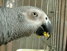 ���キ���キ���キ