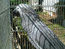 �ʂ��ʂ��ˁ`