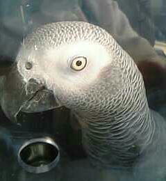 ���A������A������I