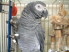 ���������`