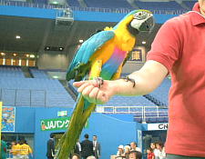 ���F�̃t���C�g�X�[�c���ǂ��������Ă܂�