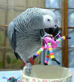 ビーズよりタグが気になる宝助