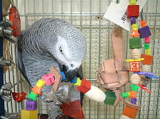 パーツがたくさんあって楽しそう