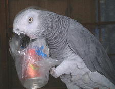 暗い写真ですみません