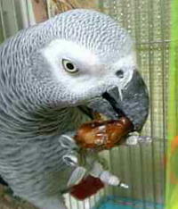 おいちいね〜。