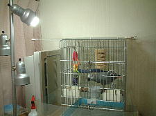 これでもうばっちり