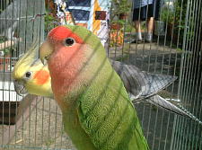 ひなたぼっこでほこほこ〜