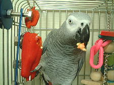 種がうまいよぉ〜