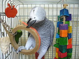 ��ԍD���Ȃ�������