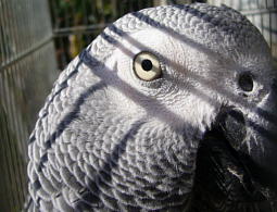 ����̕������܂���