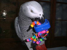 この穴からビーズを通して・・・