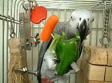 にんじんが邪魔やわ〜