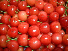 これもおいちぃ〜〜!!