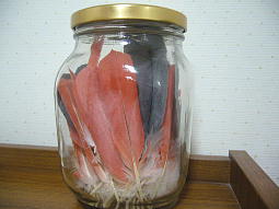 ���H���̐�̂Ƃ񂪂��Ă�Ƃ��낪���킢���Ǝv���Ă��܂�