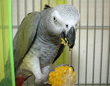 おいち〜、たのち〜♪