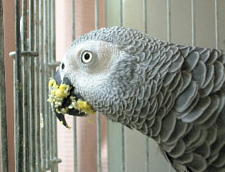 これだけ付いてても後できれいになります