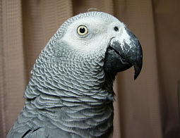 ���������̂����܂���Ȃ̂ɕ����E�E�E