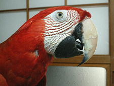 な〜んてかわいいんでしょう!