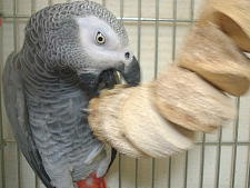 この噛みごたえがたまらん〜!