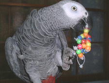 一人遊びが上手になりました