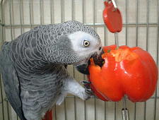 でもふんわりで美味しいよぉ〜