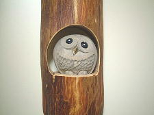 ヨウムの雛みたい?